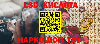 твердый Камышлов