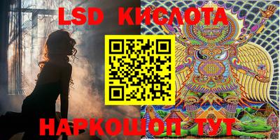 spice Кингисепп