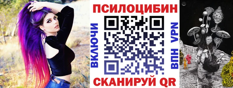 дарнет шоп Котельники Галлюциногенные грибы MAGIC MUSHROOMS